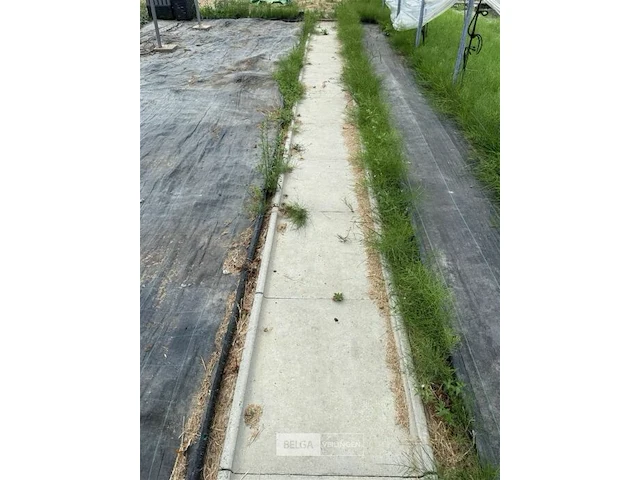 66x betonnen stapstenen - afbeelding 2 van  3