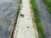 66x betonnen stapstenen - afbeelding 2 van  3