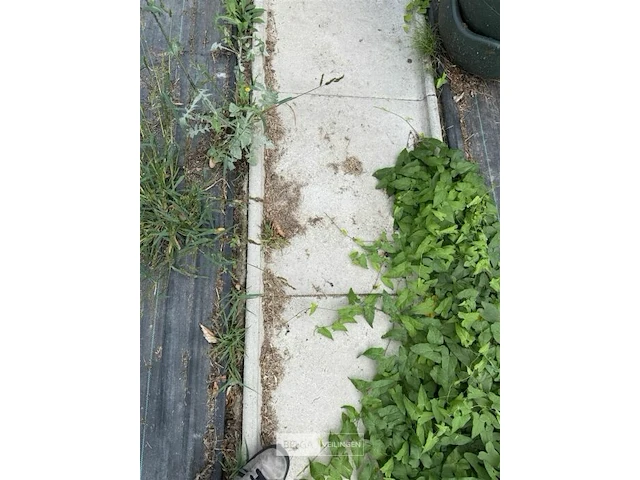 66x betonnen stapstenen - afbeelding 3 van  3