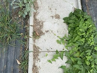66x betonnen stapstenen - afbeelding 3 van  3