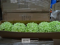 ±6d deco bloemen - afbeelding 1 van  4