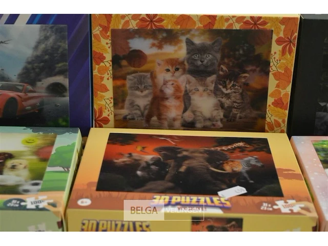 6x 3d puzzels - afbeelding 3 van  4