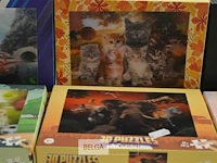 6x 3d puzzels - afbeelding 3 van  4