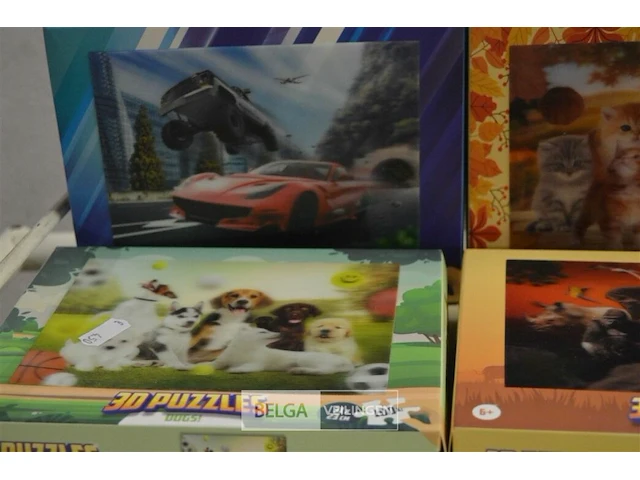 6x 3d puzzels - afbeelding 2 van  4