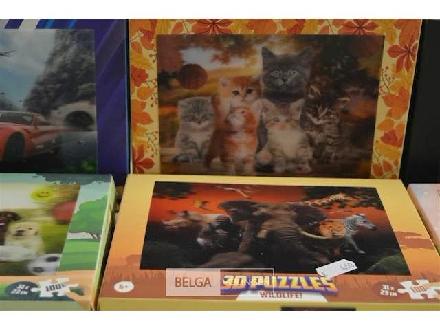 6x 3d puzzels - afbeelding 3 van  4