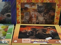 6x 3d puzzels - afbeelding 3 van  4