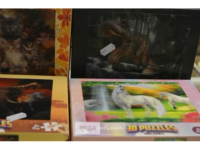6x 3d puzzels - afbeelding 4 van  4
