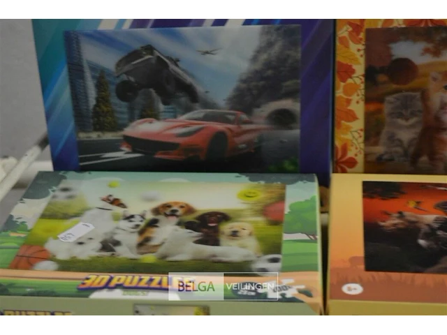 6x 3d puzzels - afbeelding 2 van  4