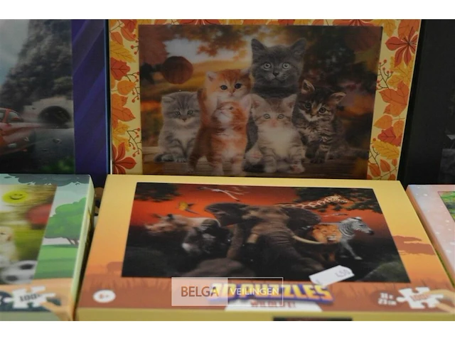 6x 3d puzzels - afbeelding 3 van  4