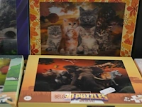 6x 3d puzzels - afbeelding 3 van  4