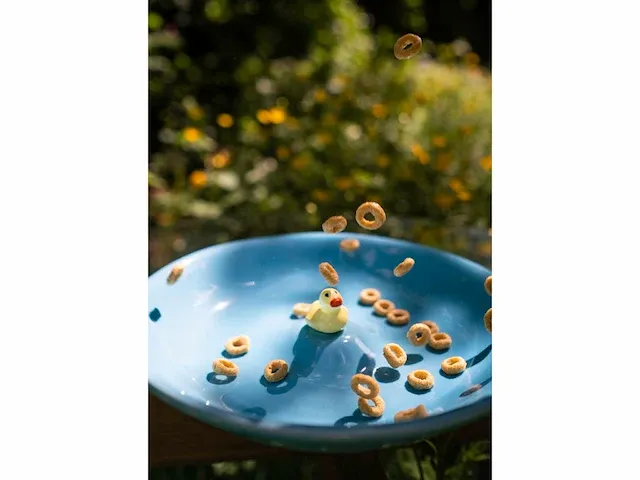 6x baby duck plate blauw - afbeelding 2 van  5