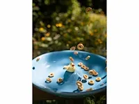 6x baby duck plate blauw - afbeelding 2 van  5