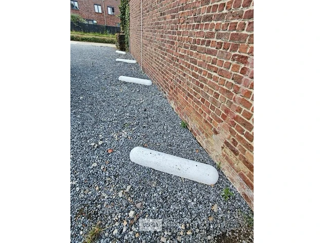 6x betonnen biggenruggen - afbeelding 1 van  2