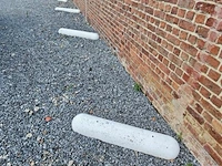 6x betonnen biggenruggen - afbeelding 1 van  2