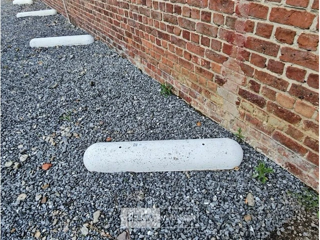 6x betonnen biggenruggen - afbeelding 2 van  2