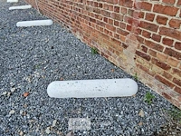 6x betonnen biggenruggen - afbeelding 2 van  2