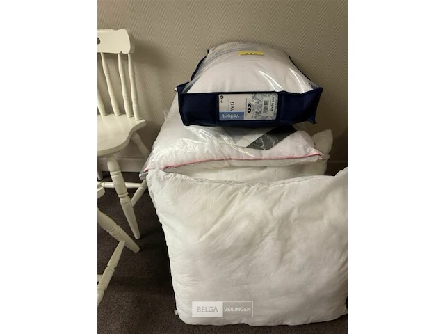 6x diverse hoofdkussens - afbeelding 2 van  3