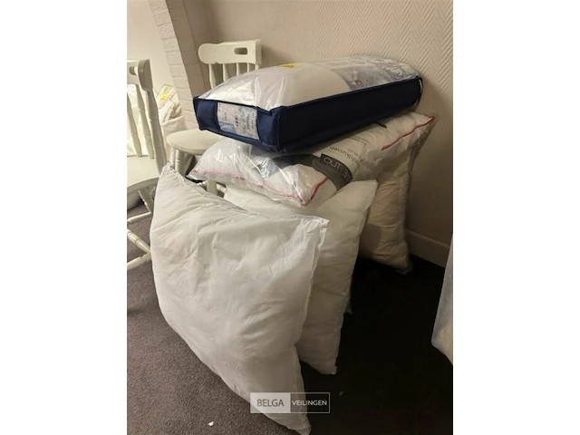 6x diverse hoofdkussens - afbeelding 3 van  3