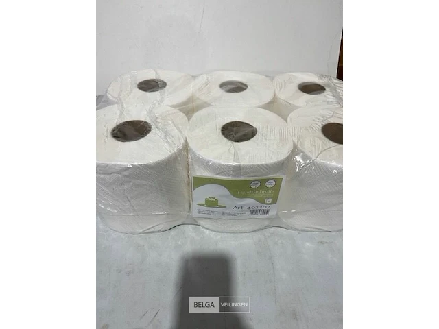 6x handdoekrol 2 lagen - afbeelding 2 van  3