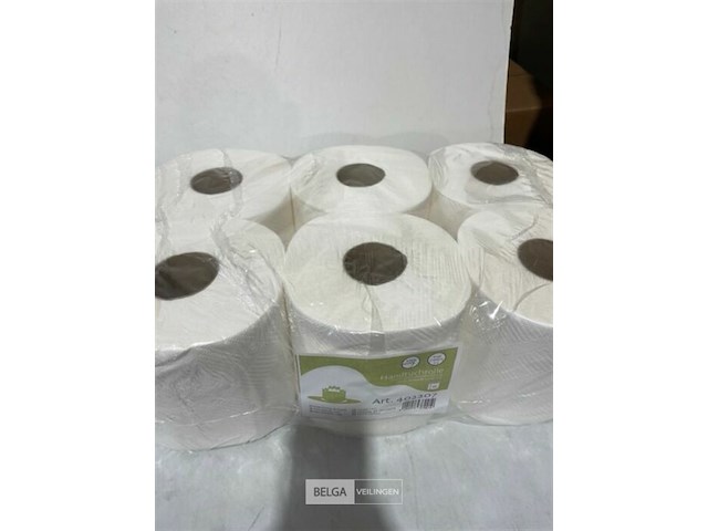 6x handdoekrol 2 lagen - afbeelding 2 van  3