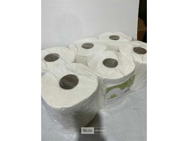6x handdoekrol 2 lagen - afbeelding 3 van  3
