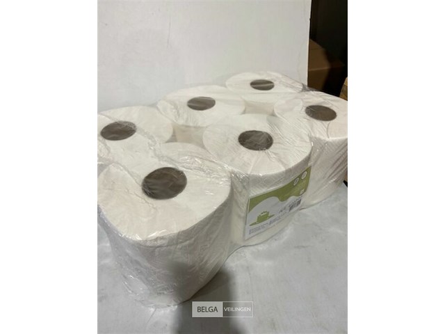 6x handdoekrol 2 lagen - afbeelding 3 van  3