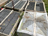 6x houten kist met natuurlijke leistenen dakpannen pizarras samaca - afbeelding 1 van  6