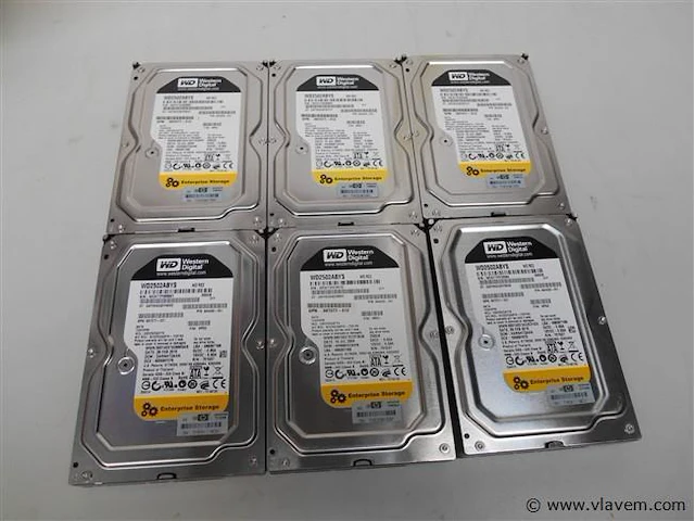 6x wd 250gb wd2502abys - afbeelding 1 van  1