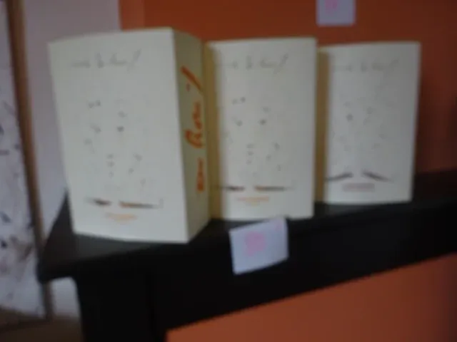 6x wijn in verzamelbox joël derore - afbeelding 2 van  5