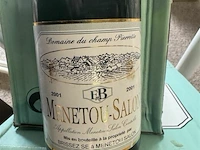 6x4 fles menetou salon 2001 - afbeelding 3 van  3