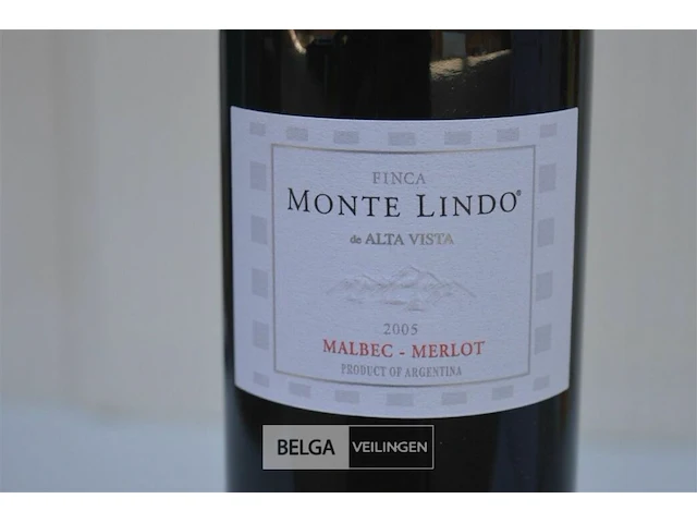 6x750ml monte lindo, 2005, 13,5% , argentinië - afbeelding 2 van  5