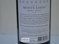 6x750ml monte lindo, 2005, 13,5% , argentinië - afbeelding 3 van  5