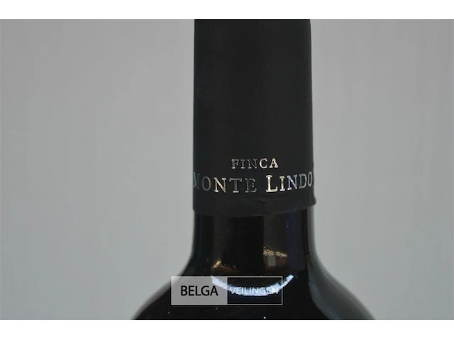 6x750ml monte lindo, 2005, 13,5% , argentinië - afbeelding 4 van  5