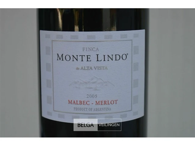 6x750ml monte lindo, 2005, 13,5%, argentinië - afbeelding 2 van  5