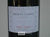 6x750ml monte lindo, 2005, 13,5%, argentinië - afbeelding 2 van  5