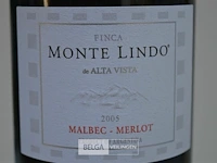 6x750ml monte lindo, 2005, 13,5%, argentinië - afbeelding 3 van  5