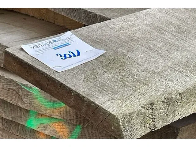 7 boomschellen (beuk) - afbeelding 2 van  4