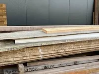 7 boomschellen (beuk) - afbeelding 4 van  4
