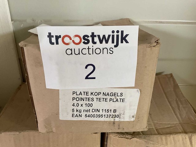 7 dozen nagels; platte kop - afbeelding 2 van  4