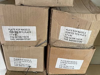 7 dozen nagels; platte kop - afbeelding 3 van  4