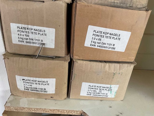7 dozen nagels; platte kop - afbeelding 4 van  4