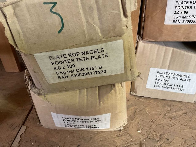 7 dozen nagels platte kop - afbeelding 2 van  5