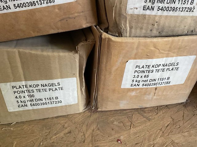 7 dozen nagels platte kop - afbeelding 5 van  5