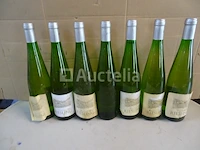 7 flessen riesling landwein - afbeelding 2 van  5