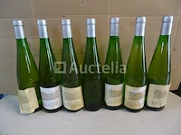 7 flessen riesling landwein - afbeelding 5 van  5