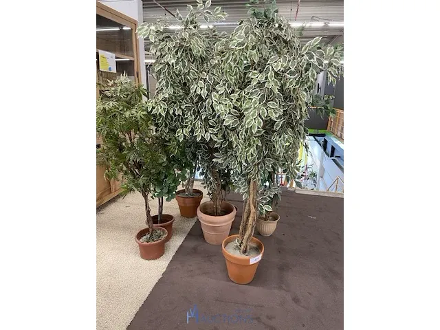 7 namaakplanten - afbeelding 2 van  2