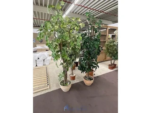7 namaakplanten - afbeelding 1 van  3