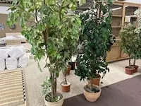 7 namaakplanten - afbeelding 1 van  3