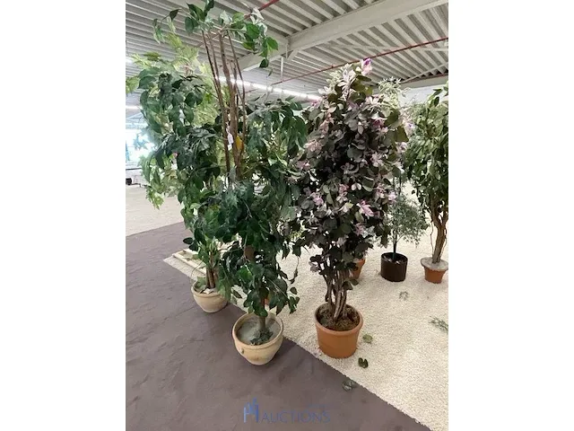 7 namaakplanten - afbeelding 2 van  3