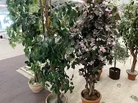 7 namaakplanten - afbeelding 2 van  3